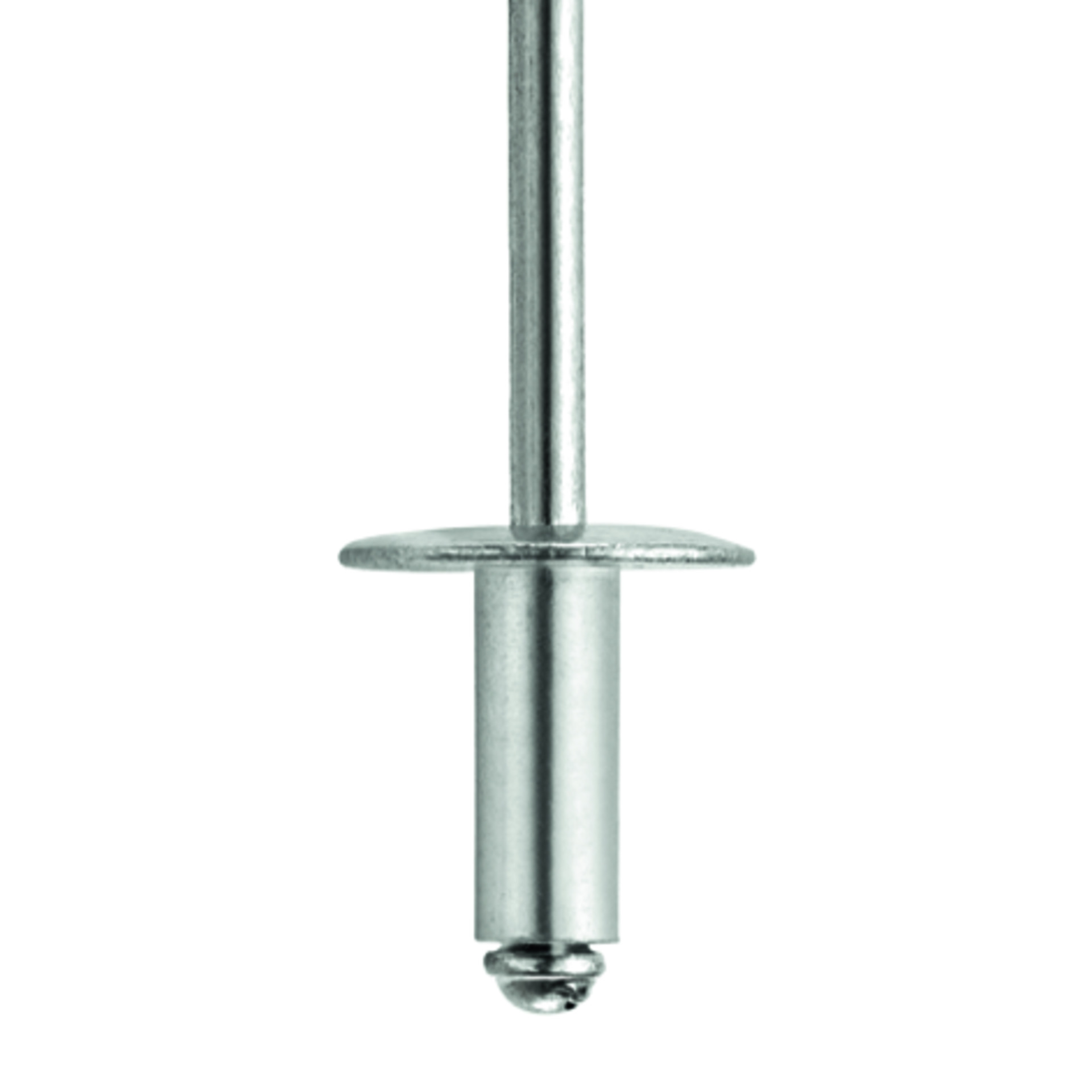 TIFAS Standard Blindniete großer Flachrundkopf St/St