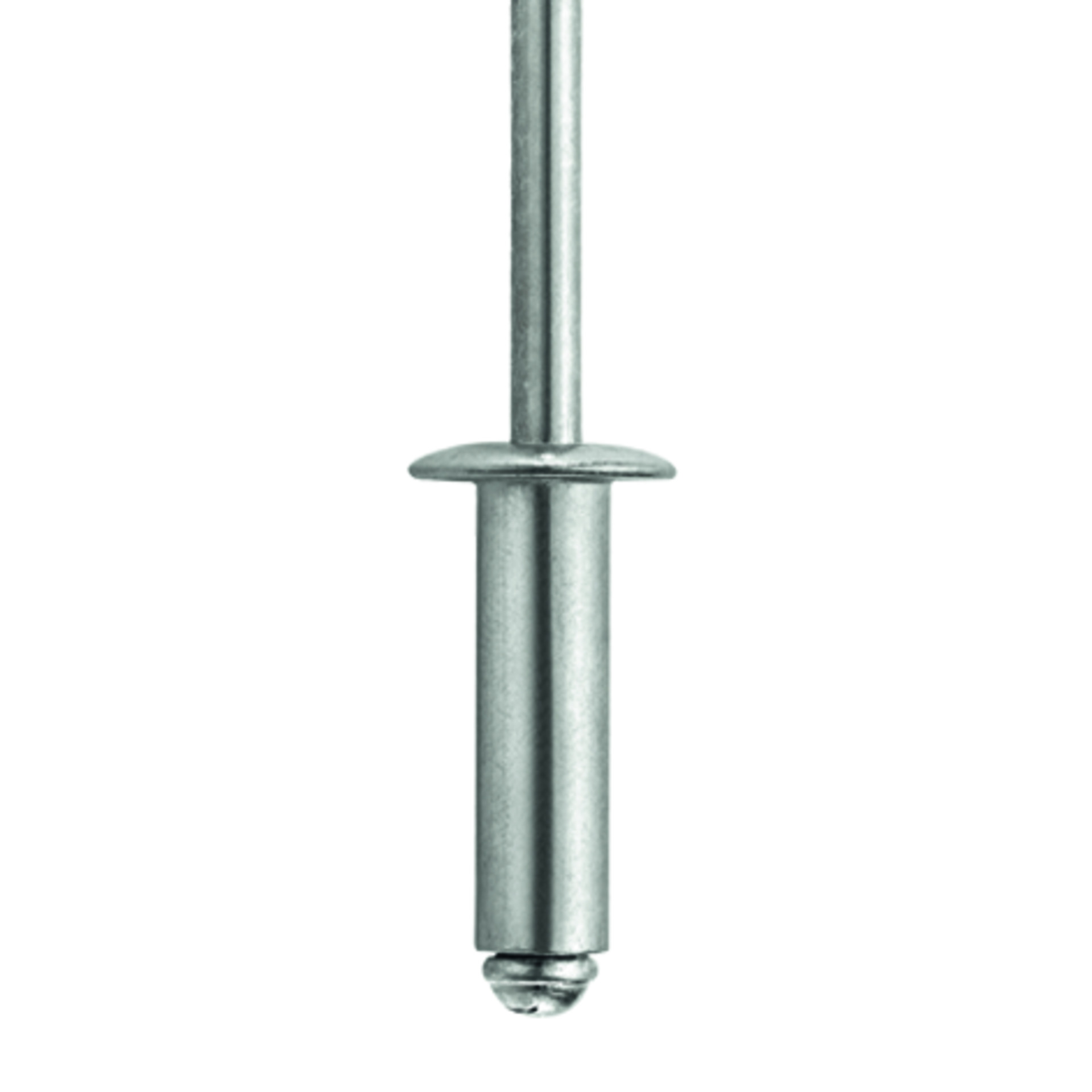 TIFAS Standard Blindniete Flachrundkopf St/St