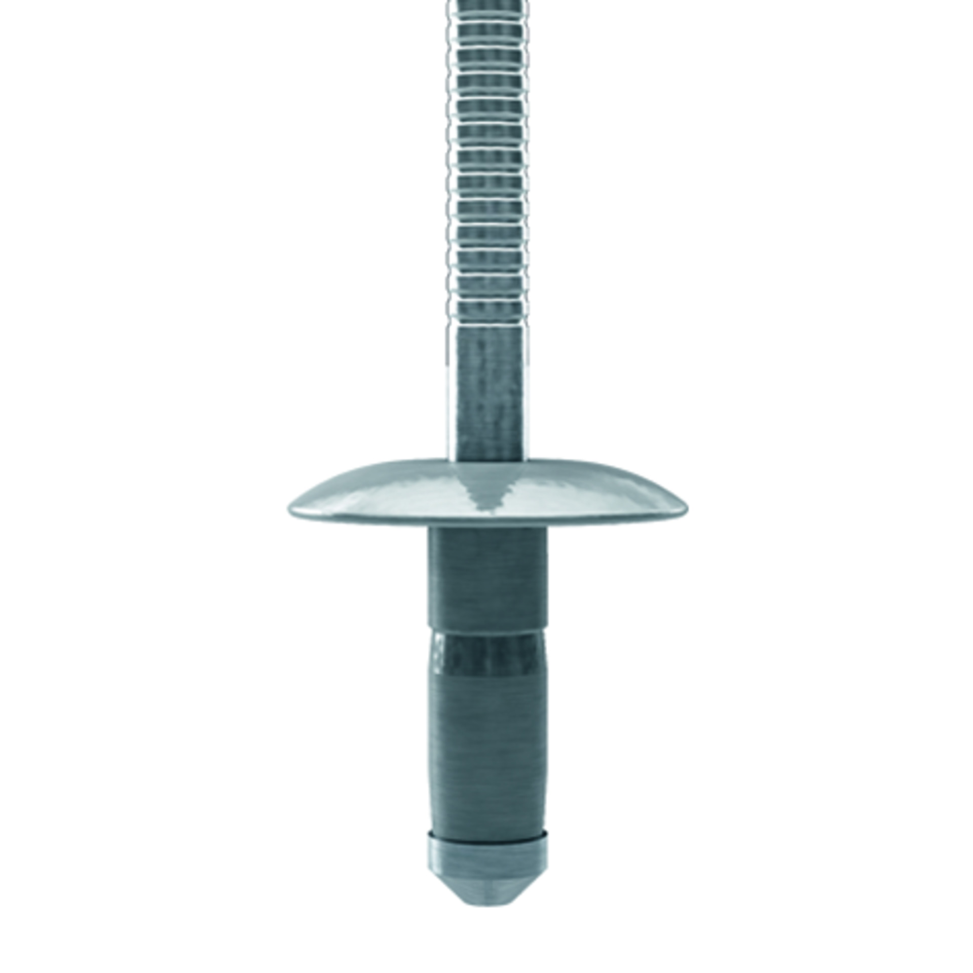 TIFAS® Grip Blindniete großer Flachrundkopf mit gerilltem Nietdorn A2/A2